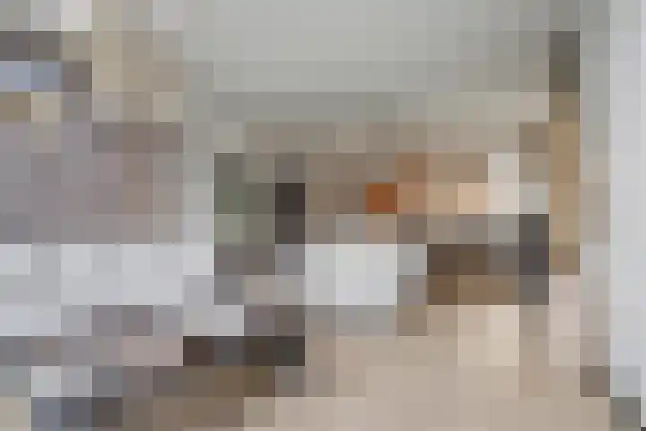 Heeskesacker 1244 Nijmegen thumbnail 8