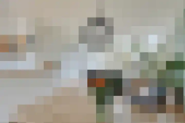 Heeskesacker 1439 Nijmegen thumbnail 11