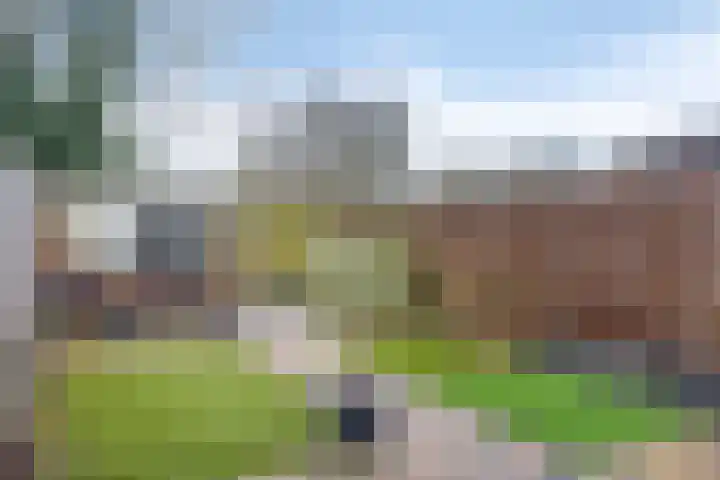 Heeskesacker 1439 Nijmegen thumbnail 26