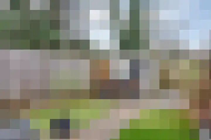 Heeskesacker 1439 Nijmegen thumbnail 27