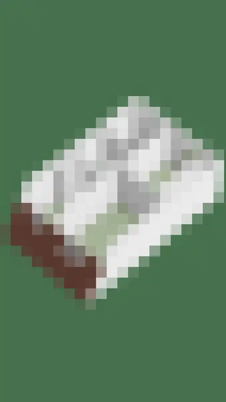 Heeskesacker 1439 Nijmegen thumbnail 36