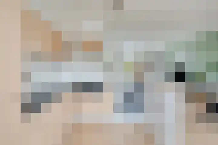 Heeskesacker 1439 Nijmegen thumbnail 8