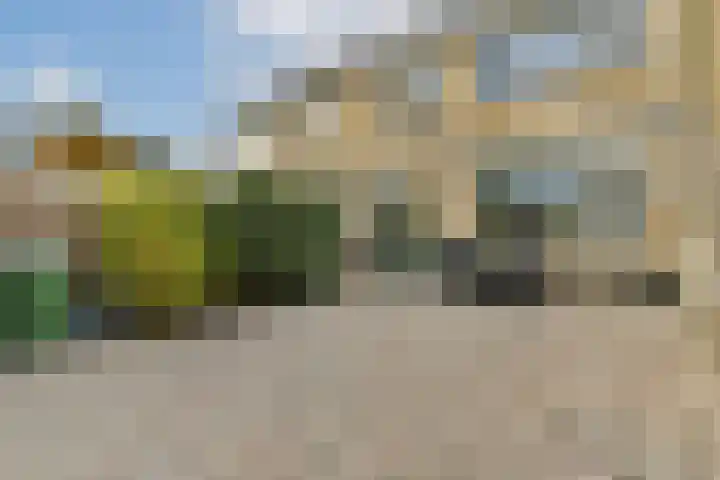 Heesterlaan 11 Gouda thumbnail 29
