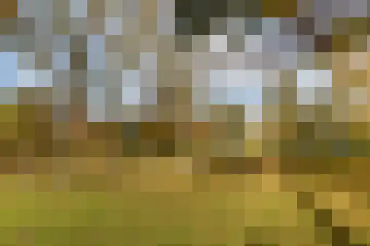 Heesterlaan 11 Gouda thumbnail 32