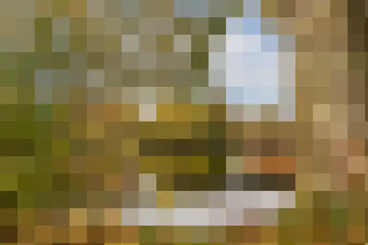 Heesterlaan 11 Gouda thumbnail 33