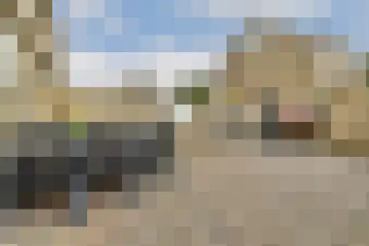 Heesterlaan 11 Gouda thumbnail 4
