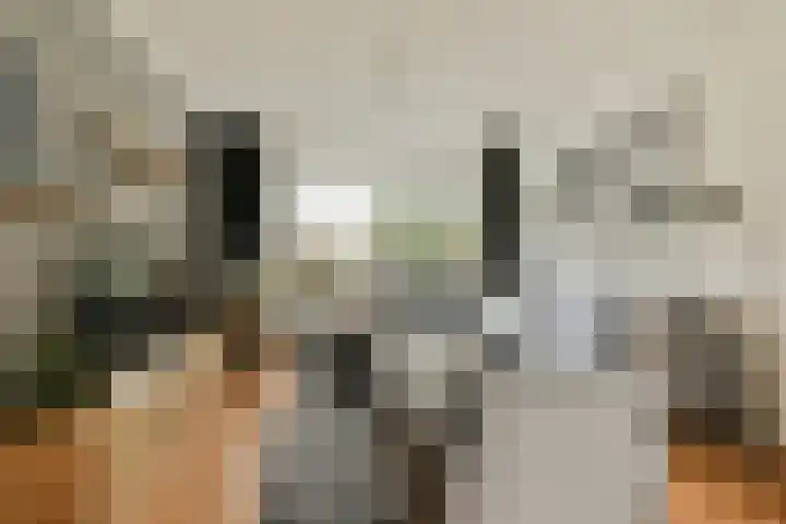 Heesterlaan 11 Gouda thumbnail 7