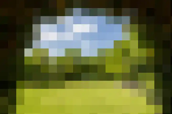 Heetkamp 14 Elspeet thumbnail 10