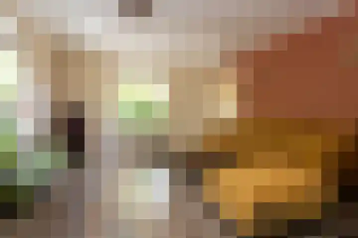Heetkamp 14 Elspeet thumbnail 12