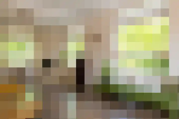 Heetkamp 14 Elspeet thumbnail 13