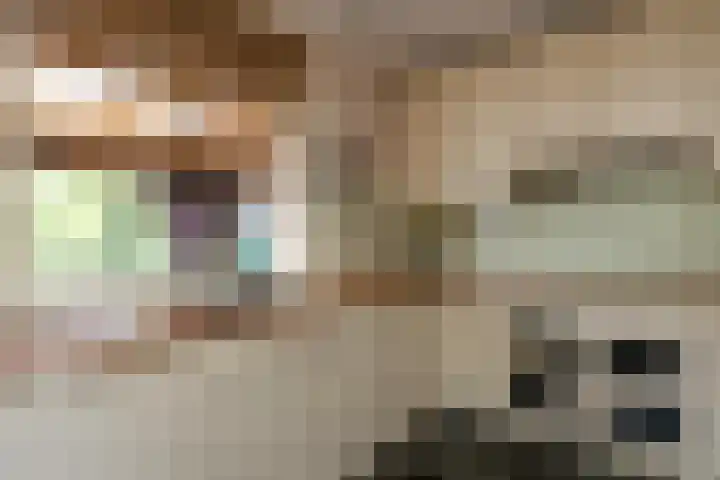 Heetkamp 14 Elspeet thumbnail 16
