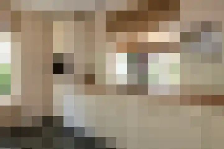 Heetkamp 14 Elspeet thumbnail 17