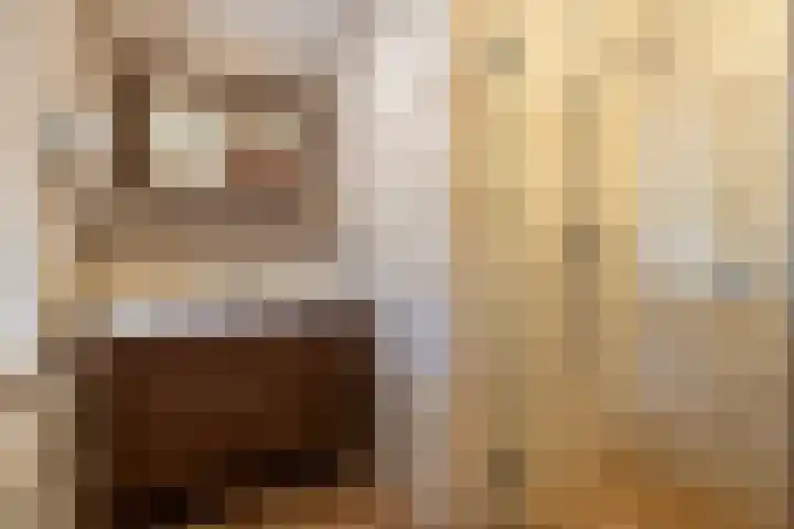 Heetkamp 14 Elspeet thumbnail 20