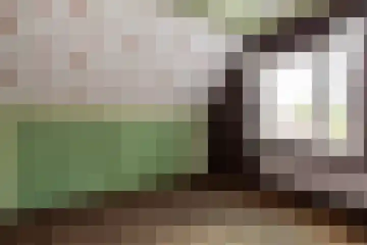 Heetkamp 14 Elspeet thumbnail 25