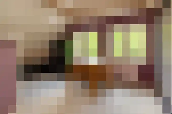 Heetkamp 14 Elspeet thumbnail 27