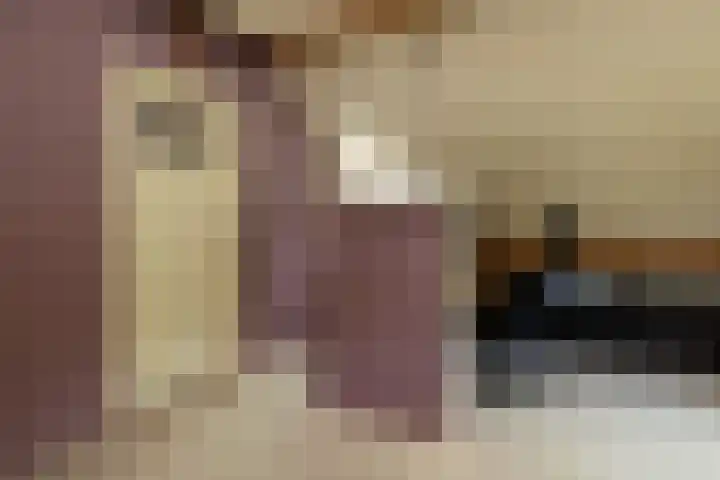 Heetkamp 14 Elspeet thumbnail 28