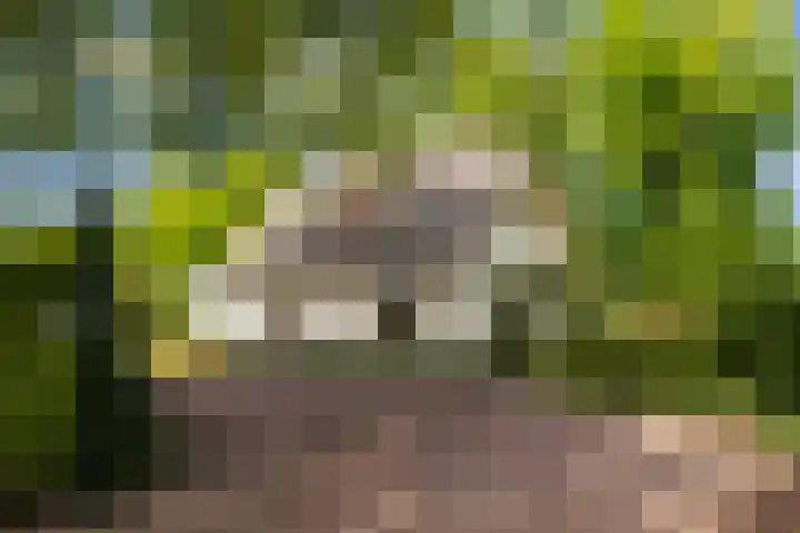 Heetkamp 14 Elspeet thumbnail 29