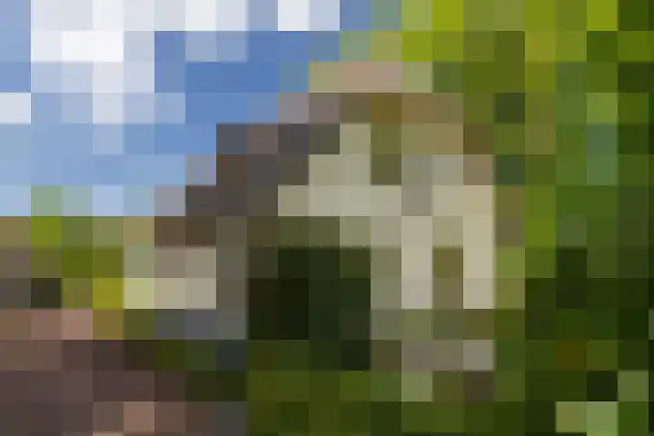 Heetkamp 14 Elspeet thumbnail 31