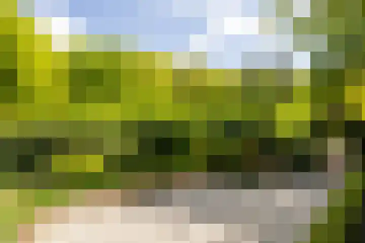 Heetkamp 14 Elspeet thumbnail 33