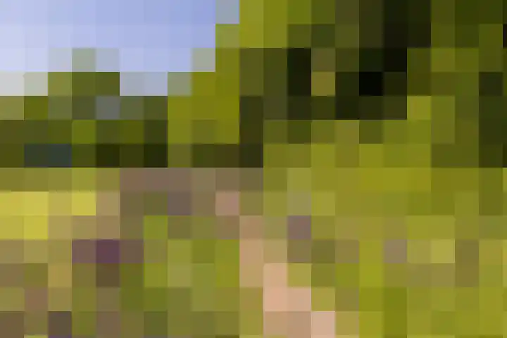 Heetkamp 14 Elspeet thumbnail 37