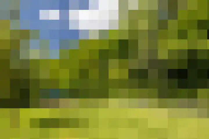 Heetkamp 14 Elspeet thumbnail 38