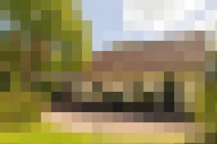 Heetkamp 14 Elspeet thumbnail 39