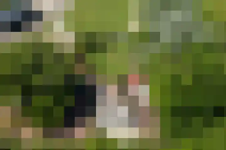 Heetkamp 14 Elspeet thumbnail 4