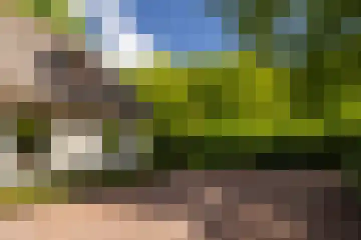 Heetkamp 14 Elspeet thumbnail 41