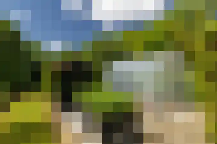Heetkamp 14 Elspeet thumbnail 43