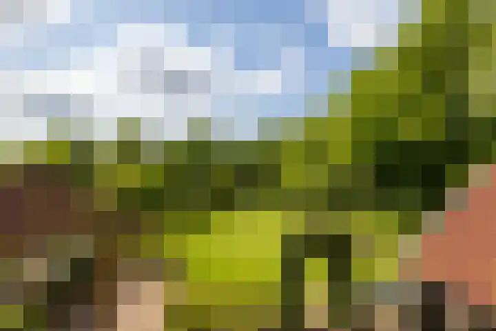 Heetkamp 14 Elspeet thumbnail 44
