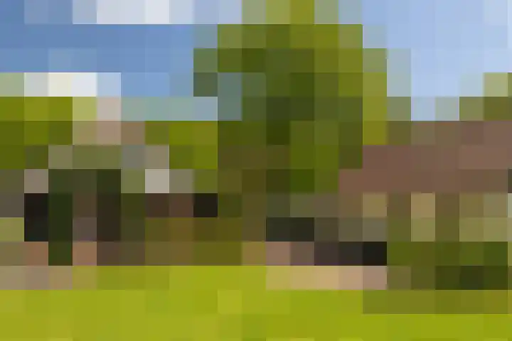 Heetkamp 14 Elspeet thumbnail 5