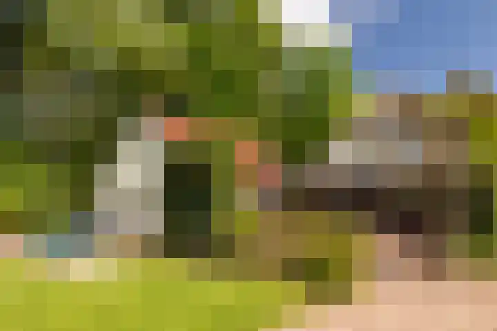 Heetkamp 14 Elspeet thumbnail 6