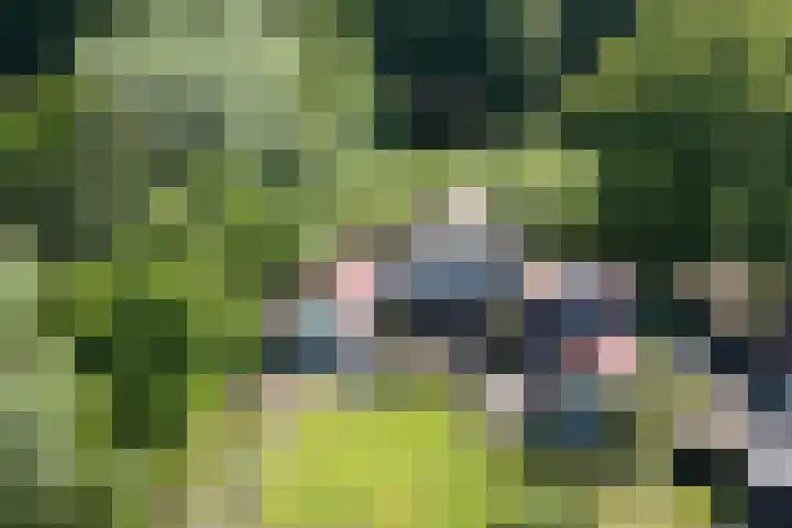 Heetkamp 14 Elspeet thumbnail 7