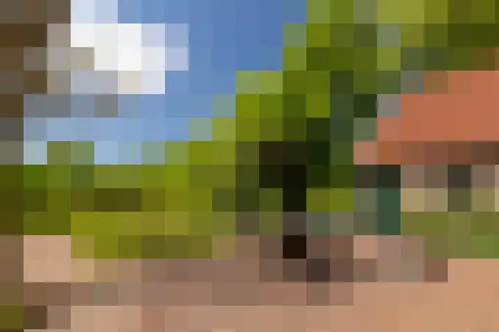 Heetkamp 14 Elspeet thumbnail 8