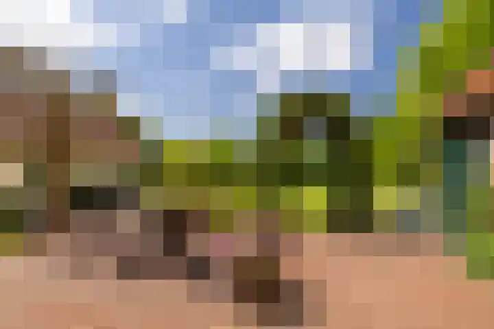 Heetkamp 14 Elspeet thumbnail 9