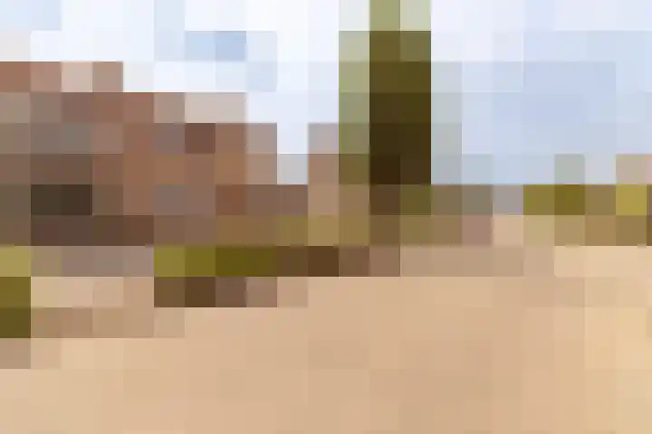 Heezerenbosch 21 Heeze thumbnail 12