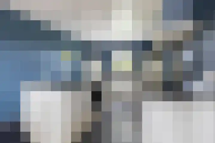 Heezerenbosch 21 Heeze thumbnail 14