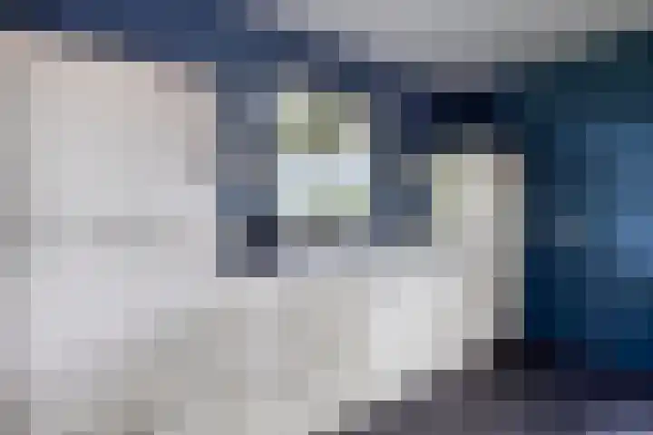 Heezerenbosch 21 Heeze thumbnail 15