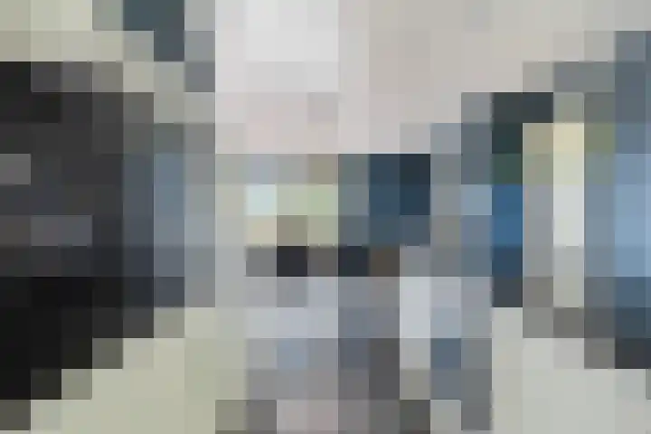 Heezerenbosch 21 Heeze thumbnail 16