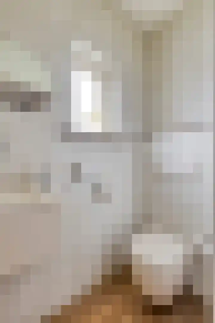 Heezerenbosch 21 Heeze thumbnail 19