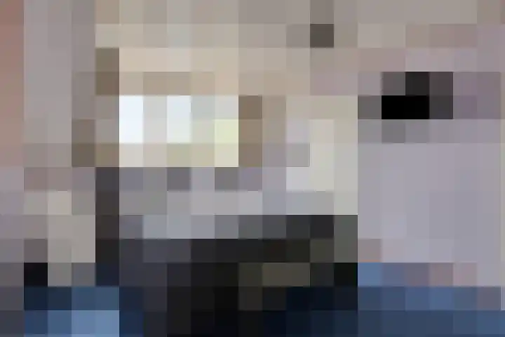Heezerenbosch 21 Heeze thumbnail 23
