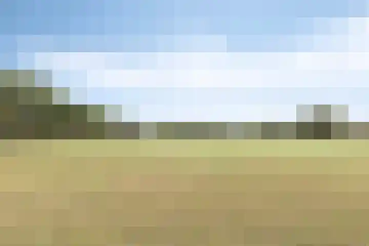Heezerenbosch 21 Heeze thumbnail 57