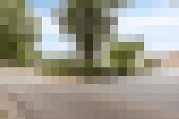 Heezerenbosch 21 Heeze thumbnail 6