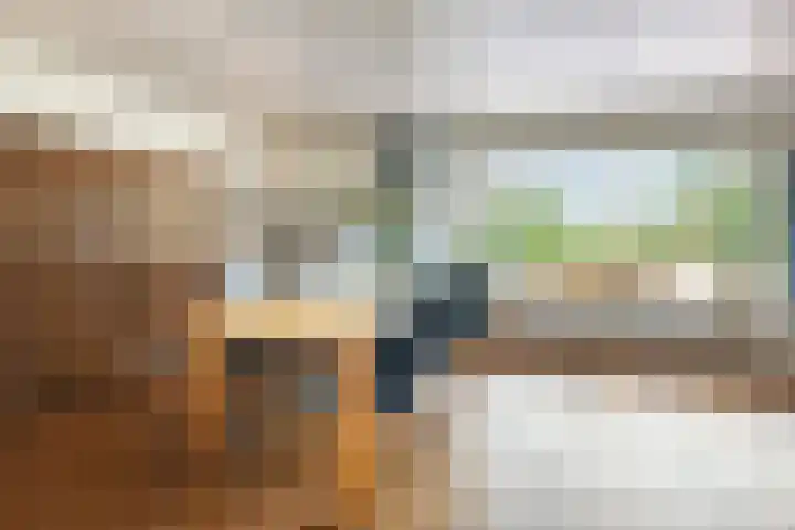 Heezerenbosch 21 Heeze thumbnail 9