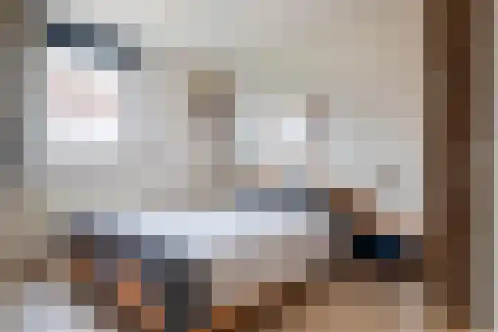 Hegakker 70 Druten thumbnail 12