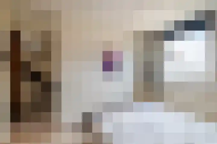 Hegakker 70 Druten thumbnail 14