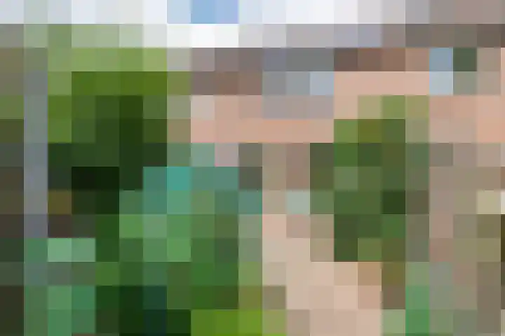 Hegakker 70 Druten thumbnail 28