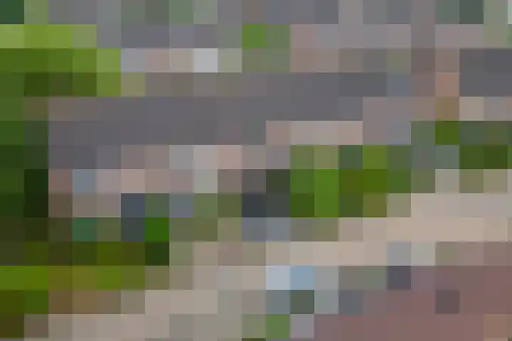 Hegakker 70 Druten thumbnail 30