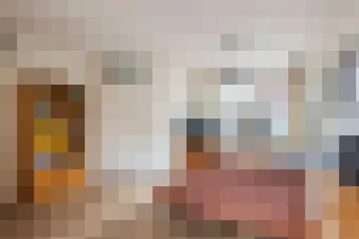 Hegakker 70 Druten thumbnail 6