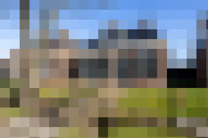 Hegedyk 9 Raerd